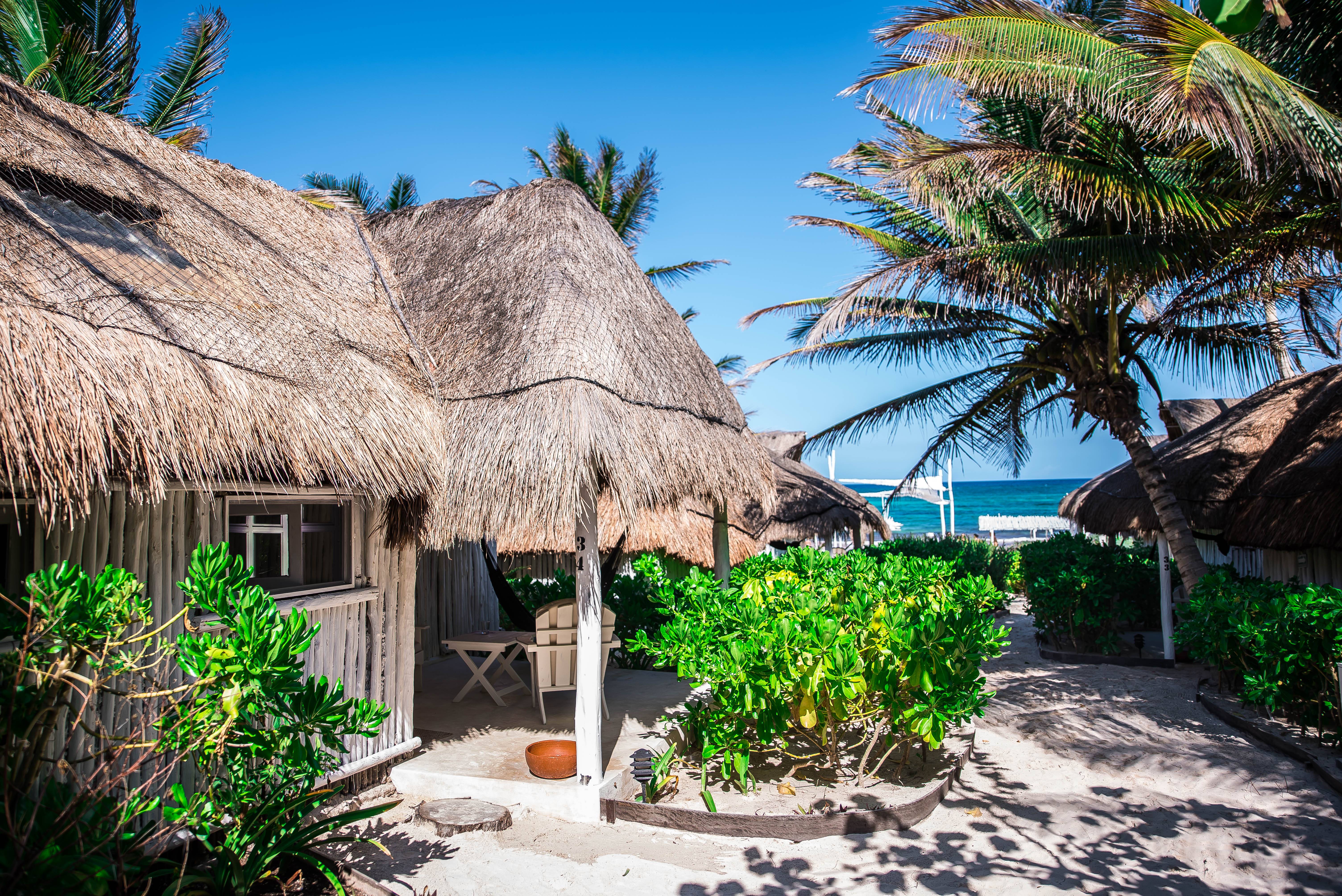 The Wild Parisian_Coco Tulum