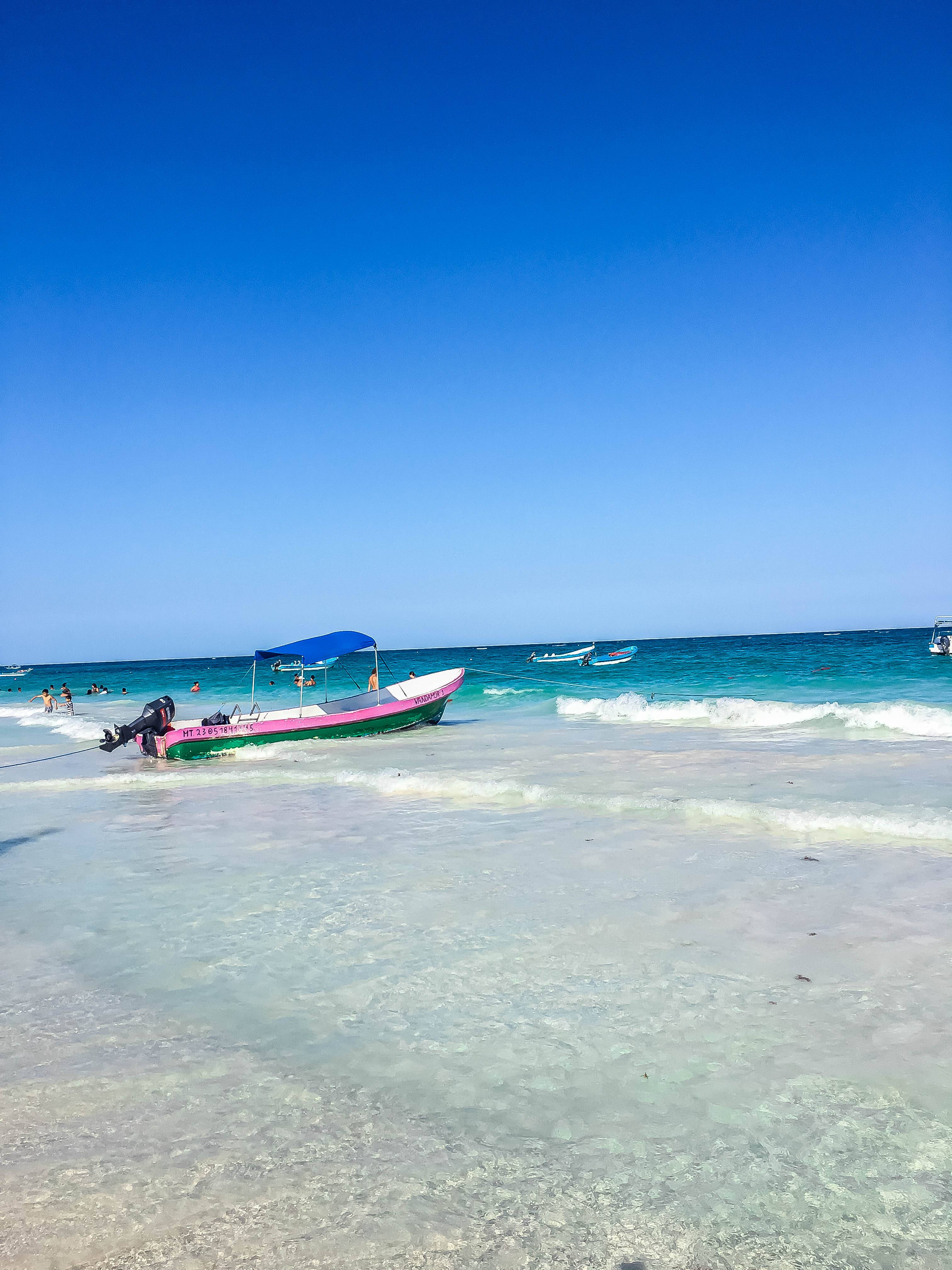 The Wild Parisian_Coco Tulum