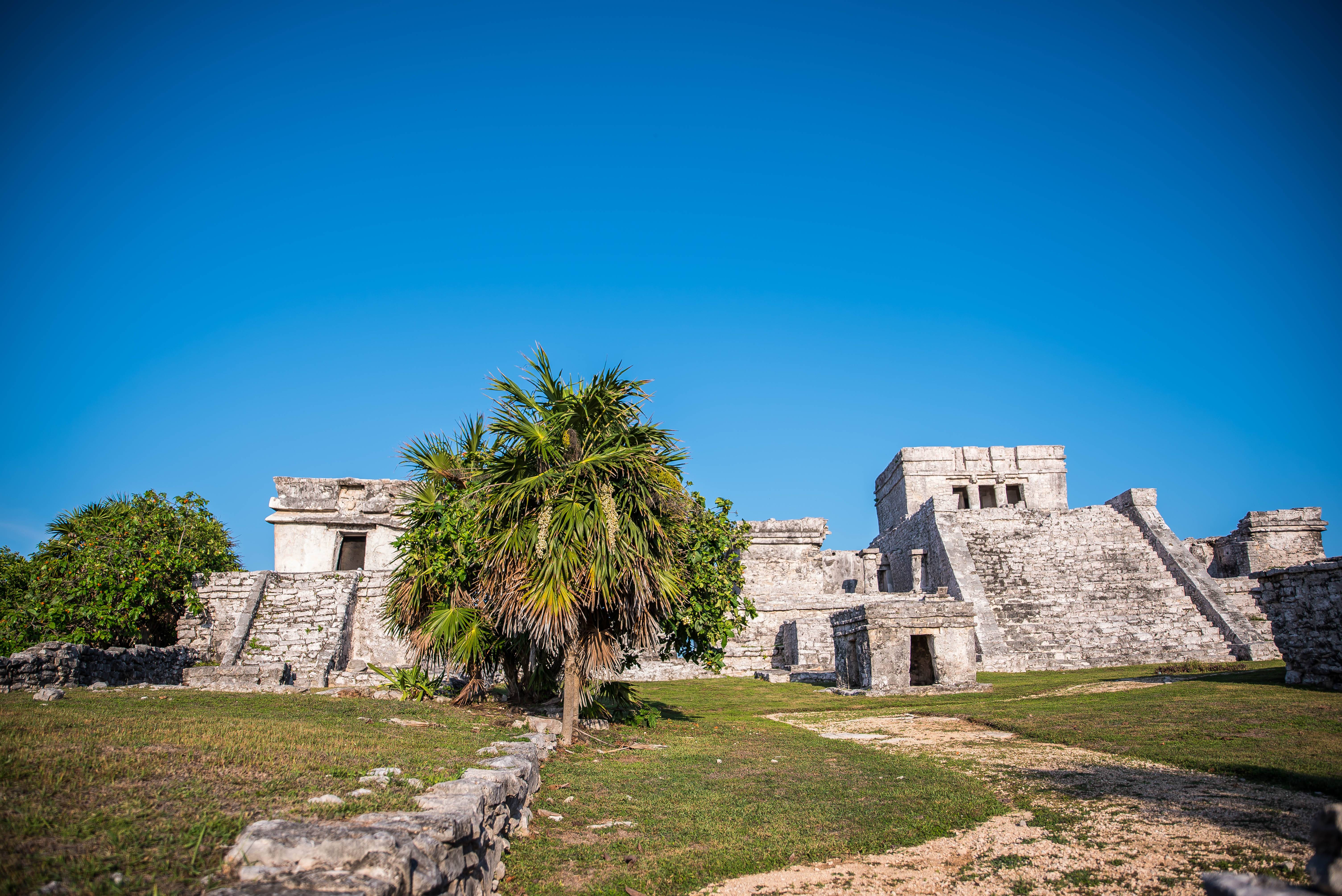 The Wild Parisian aux ruines de Tulum