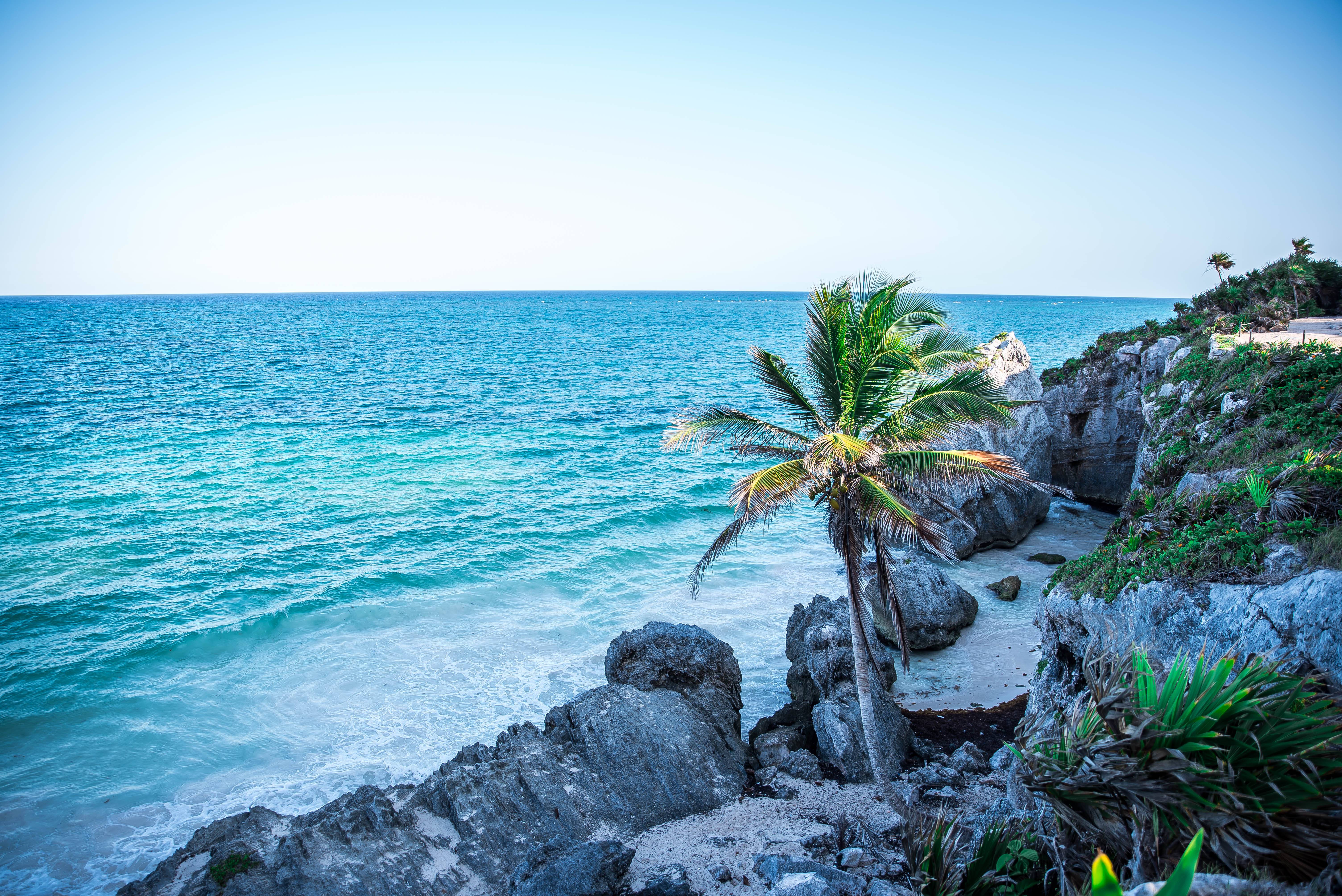 The Wild Parisian aux ruines de Tulum